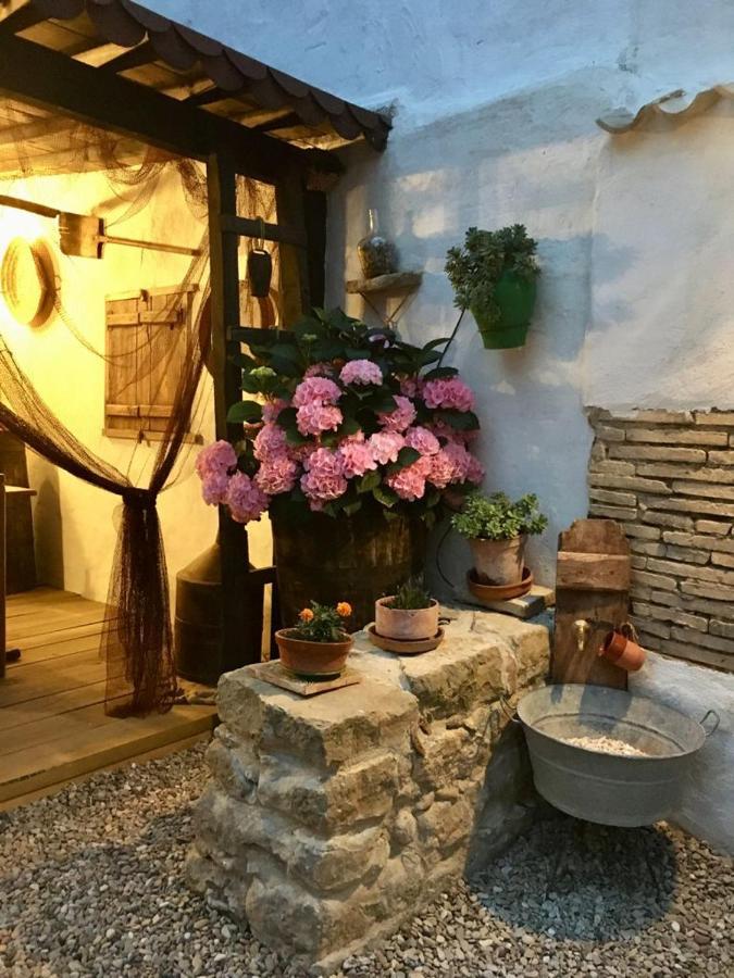 La Mimosa Villa Carcastillo Luaran gambar